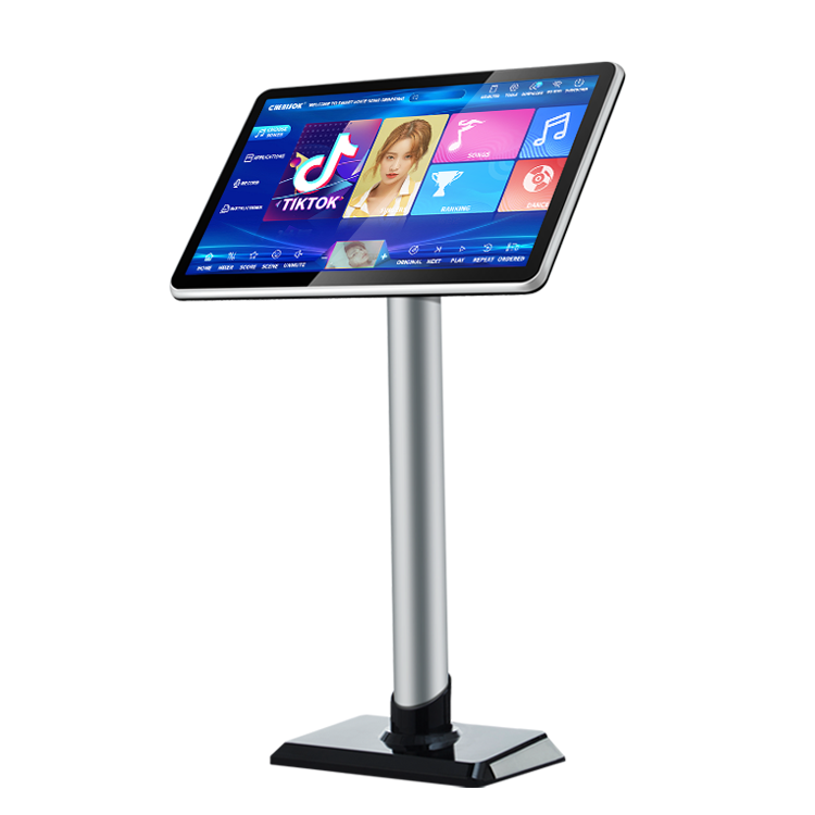 40W Chinese Karaoke Player Mac - Home Bar Android review and price